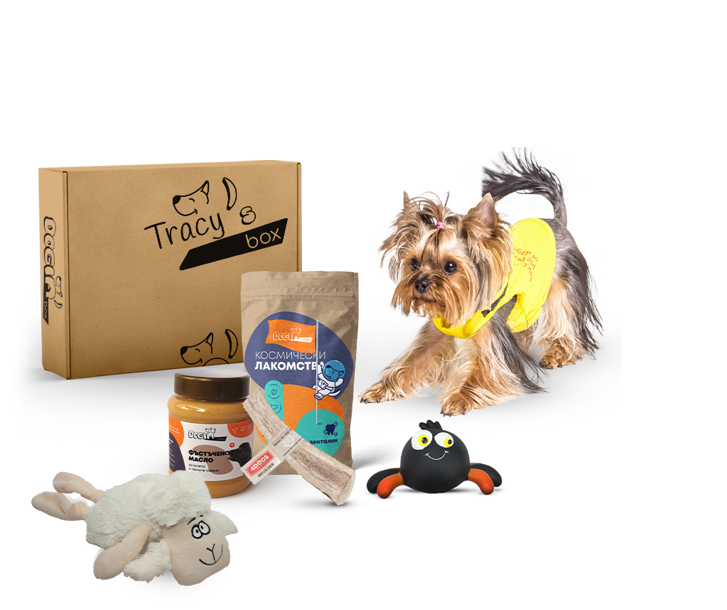 An example of doginBOX for a small doggo. Please note the products you will have in your doginBOX will be picked according to your doggo's needs! The size of your dog is just a fraction of all the criterias we take into consideration when personalizing doginBOX!
