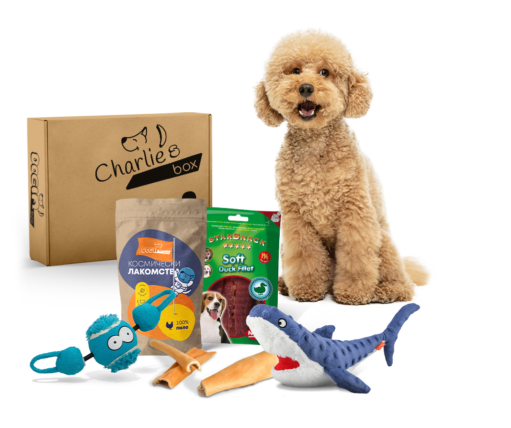 An example of doginBOX for a medium doggo. Please note the products you will have in your doginBOX will be picked according to your doggo's needs! The size of your dog is just a fraction of all the criterias we take into consideration when personalizing doginBOX!